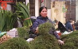 Người Hà Nội đi mua rau mùi già chiều 30 Tết